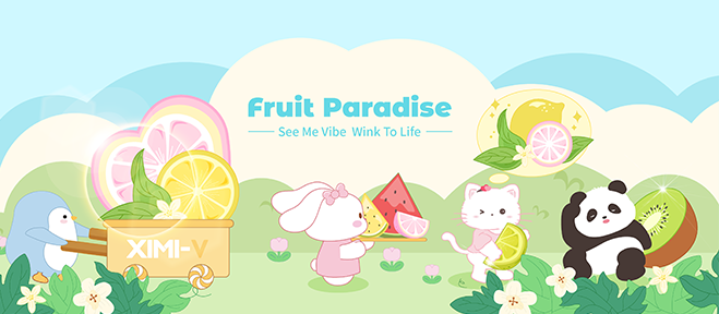 Fashion Products Store Franchise